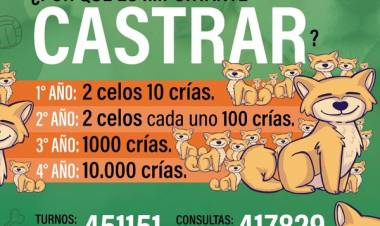 ¿Sabías que en Coronel Suárez podés castrar a tus mascotas de forma gratuita?