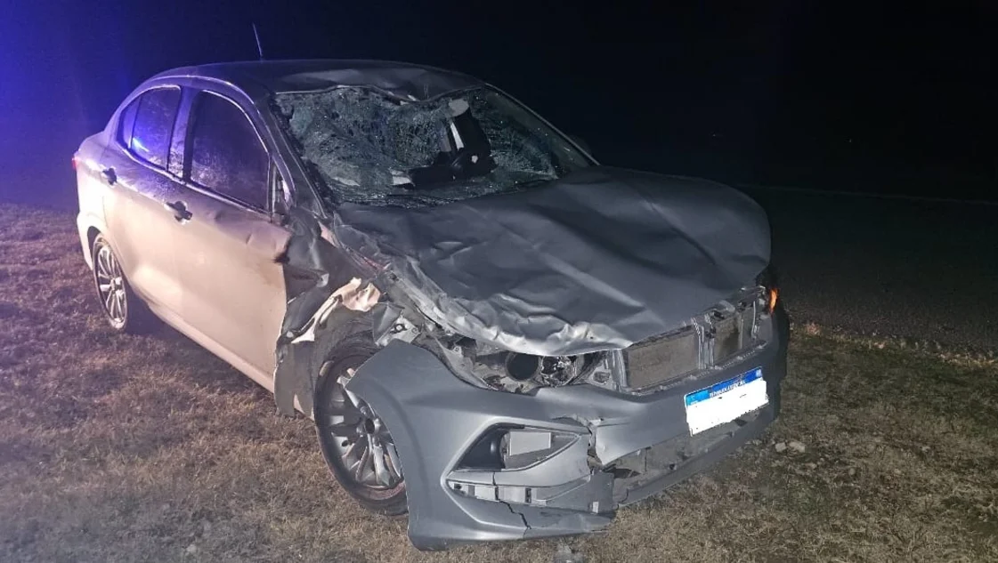 Un automovilista embistió a una vaca en un tramo de la ruta 51
