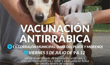 Campaña de vacunación antirrábica en el Ex Corralón Municipal de calle Mar del Plata