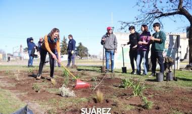 Ambiente: plantamos especies nativas junto a EDES