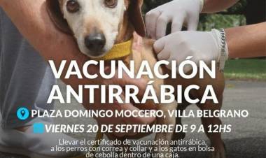 Campaña de vacunación antirrábica en Villa Belgrano