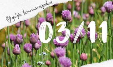 Para agendar XXV Feria de la Horticultura Familiar + Suárez Produce