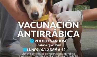Campaña de vacunación antirrábica en Pueblo San José