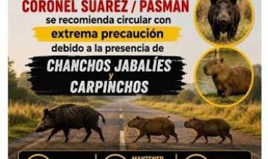 ATENCIÓN CONDUCTORES