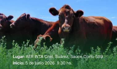 Curso de Producción Ganadera I