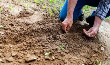 UNS: jornada abierta sobre conservación de suelos y cambio climático