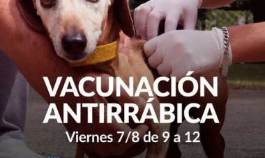 Campaña de Vacunación Antirrábica en la Plaza Tambor de Tacuarí