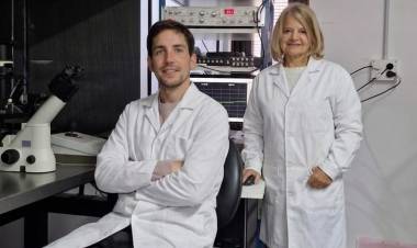 UNS: científicos bahienses realizan un avance clave para entender el impacto del cannabis en el cerebro