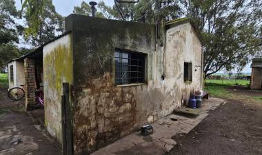 Inspecciones realizadas en la localidad de Puan