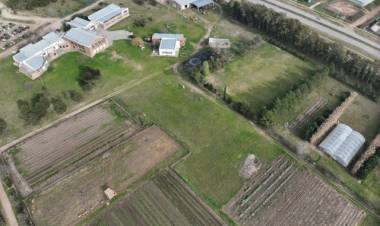 Inscripciones para el taller de adaptación a la Escuela de Agricultura y Ganadería