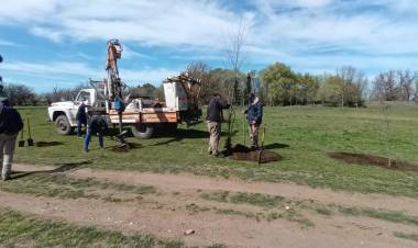 Jornada de Forestación en el Centro Recreativo "Domingo Moccero"