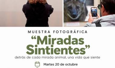 “Miradas Sintientes”: detrás de cada mirada animal, una vida que siente