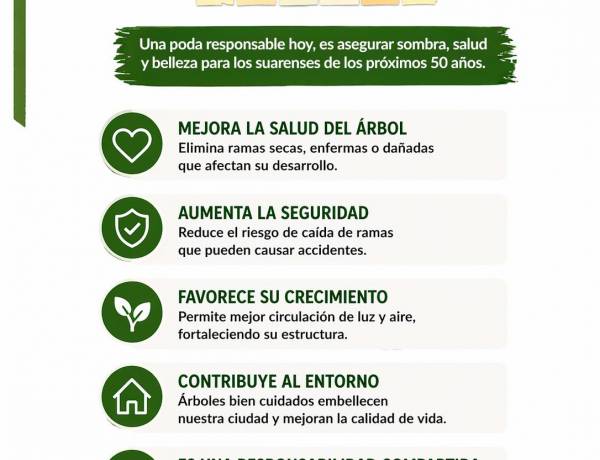 Poda responsable: cuidar hoy para tener árboles sanos mañana