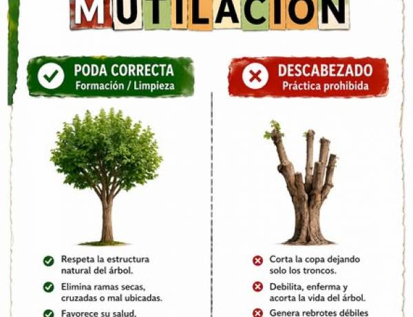 ¡ATENCIÓN VECINOS! INICIÓ LA TEMPORADA DE PODA