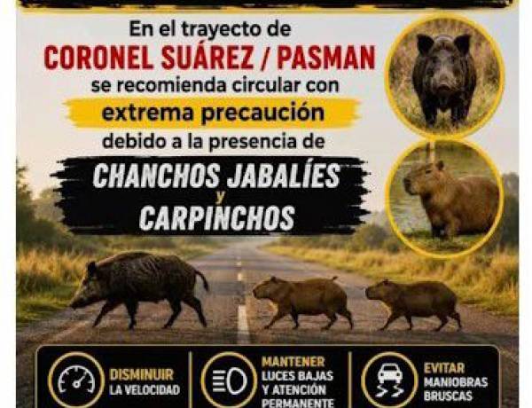 ATENCIÓN CONDUCTORES