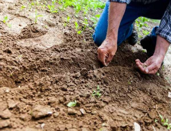 UNS: jornada abierta sobre conservación de suelos y cambio climático