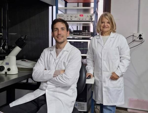 UNS: científicos bahienses realizan un avance clave para entender el impacto del cannabis en el cerebro
