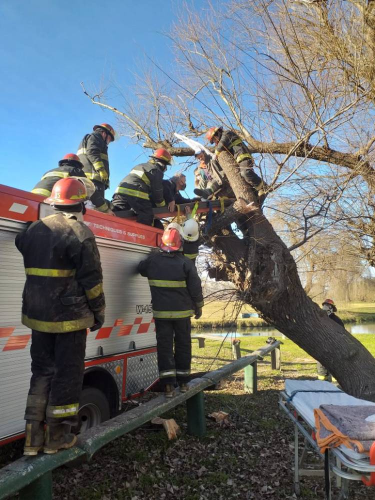 Accidente con un árbol caído en el balneario municipal Samuel Davis