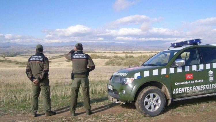 Efemerides: Día Mundial de los Guardas Forestales