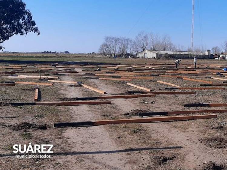 Se inició la construcción de invernáculos en el Parque de Producciones Intensivas 