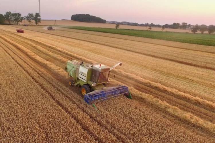 Crece la producción de maquinaria agrícola
