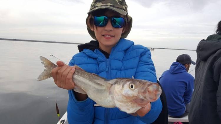 Veda de pejerrey: dónde se puede pescar y cuál es el cupo