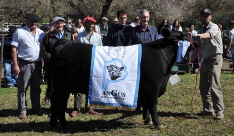 Diego Lodos, titular de la Sociedad Rural habló con Miguel Menchi en ''A Primera Hora''