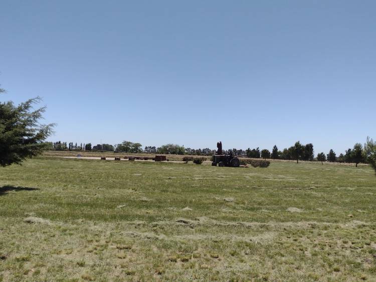 Trabajo a pleno en el Parque Héroes de Malvinas.
