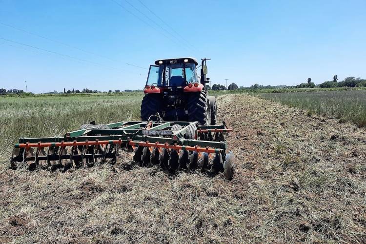 PREVENCIÓN DE INCENDIOS: mantenimiento de zona de camino en época estival