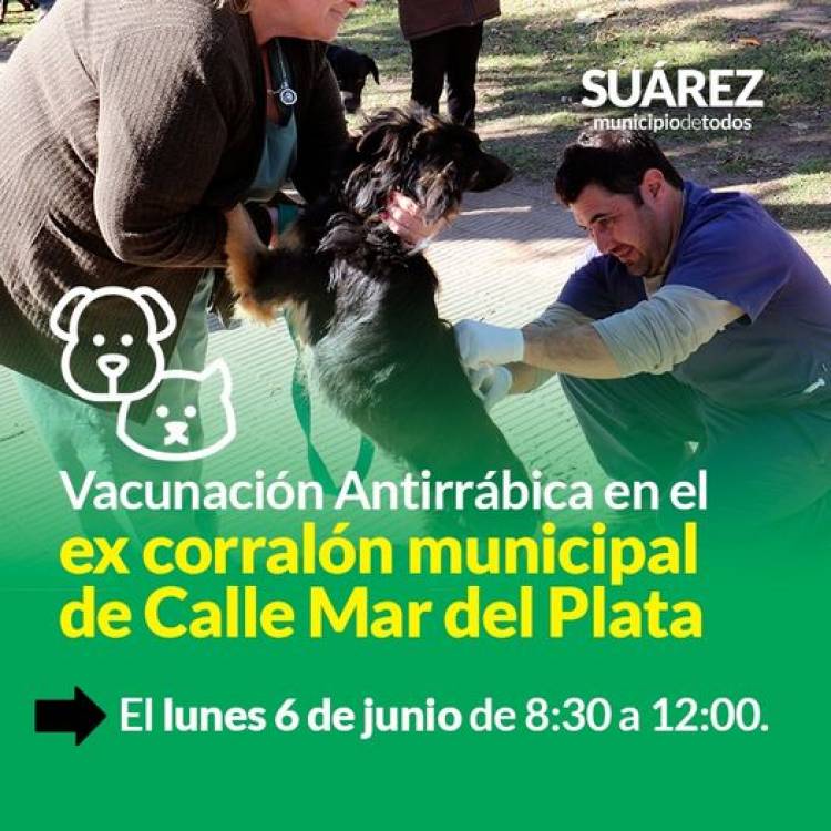 Vacunación antirrábica en el ex corralón municipal de Calle Mar del Plata