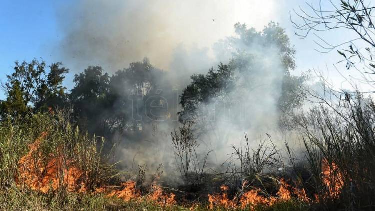 Combaten nuevos incendios sobre islas del delta del río Paraná