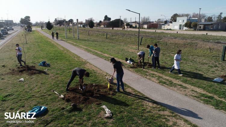 Proyecto de Forestación sobre Av. Casey - Más de 100 jóvenes y un objetivo: “Plantar Vida”