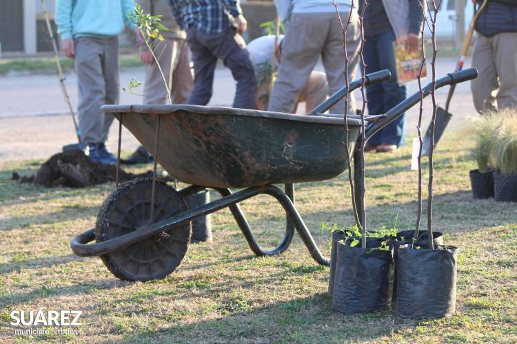 Proyecto de Forestación sobre Av. Casey - Más de 100 jóvenes y un objetivo: “Plantar Vida”