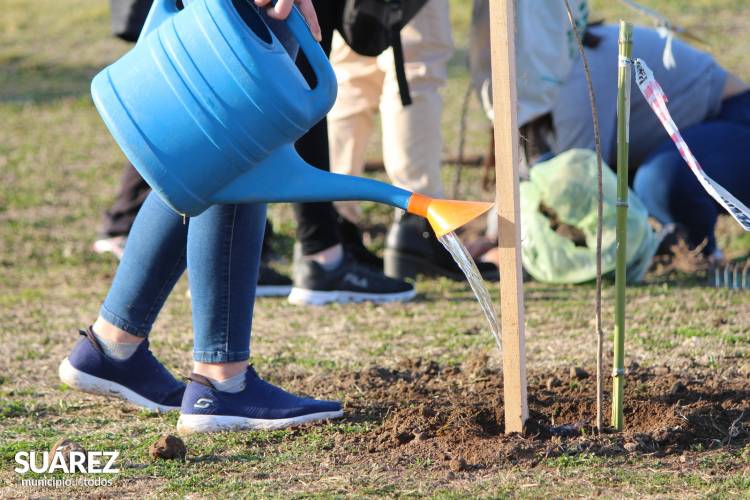 Proyecto de Forestación sobre Av. Casey - Más de 100 jóvenes y un objetivo: “Plantar Vida”