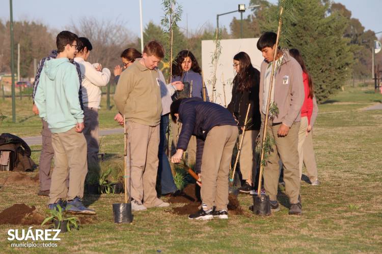 Proyecto de Forestación sobre Av. Casey - Más de 100 jóvenes y un objetivo: “Plantar Vida”