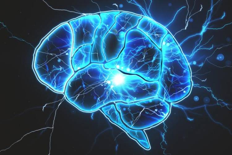Cuidar la salud del cerebro: qué hábitos que debemos tener en cuenta
