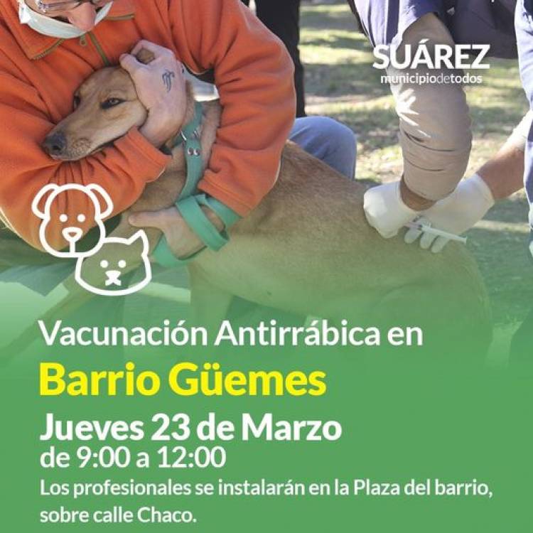 Campaña de vacunación antirrábica en Barrio Güemes