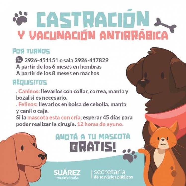 Castración y Vacunación Antirrábica Gratuita