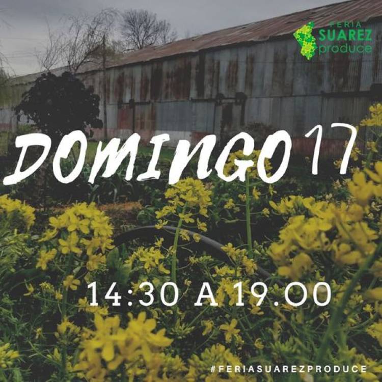 Nos vemos el domingo en el galpón