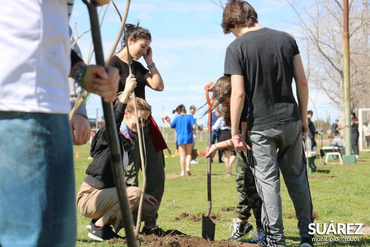 Ambiente-FCE-Interact: ”Forestamos” con la activa participación de jóvenes