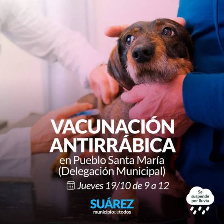 Campaña de vacunación antirrábica en Santa María