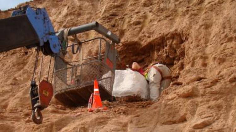 Investigadores del Conicet hallan restos de un gliptodonte que habitó en Olavarría