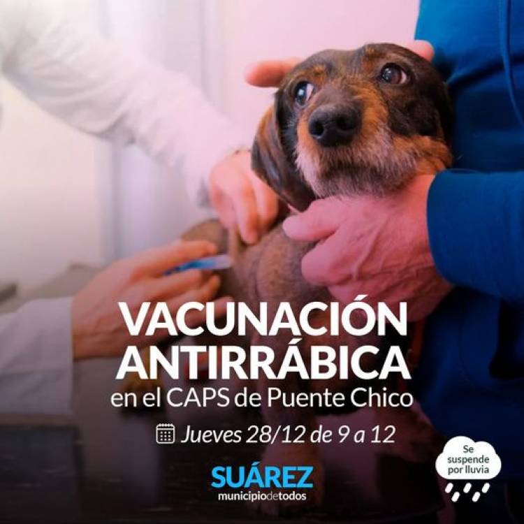 Campaña de vacunación antirrábica: Buena respuesta de la comunidad de Santa Trinidad