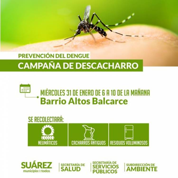 Prevenir el Dengue: Altos Balcarce se prepara para la campaña de descacharro