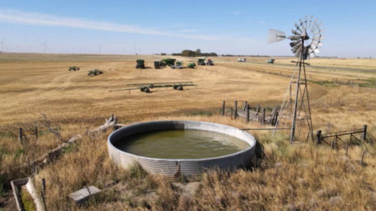 ¿Cómo está posicionado el productor agropecuario respecto de los bienes que produce? 