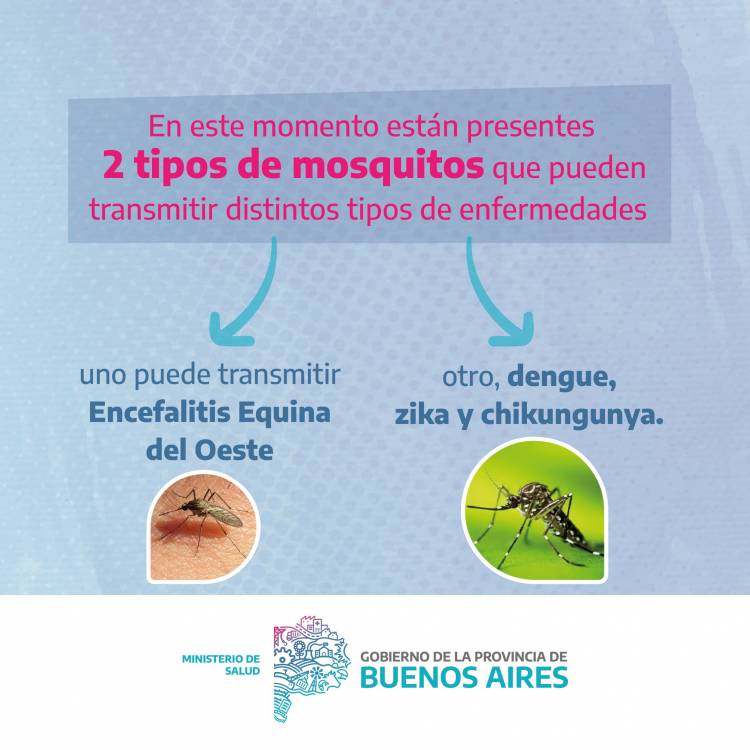 INFORMACION IMPORTANTE ante la circulacion de mosquitos