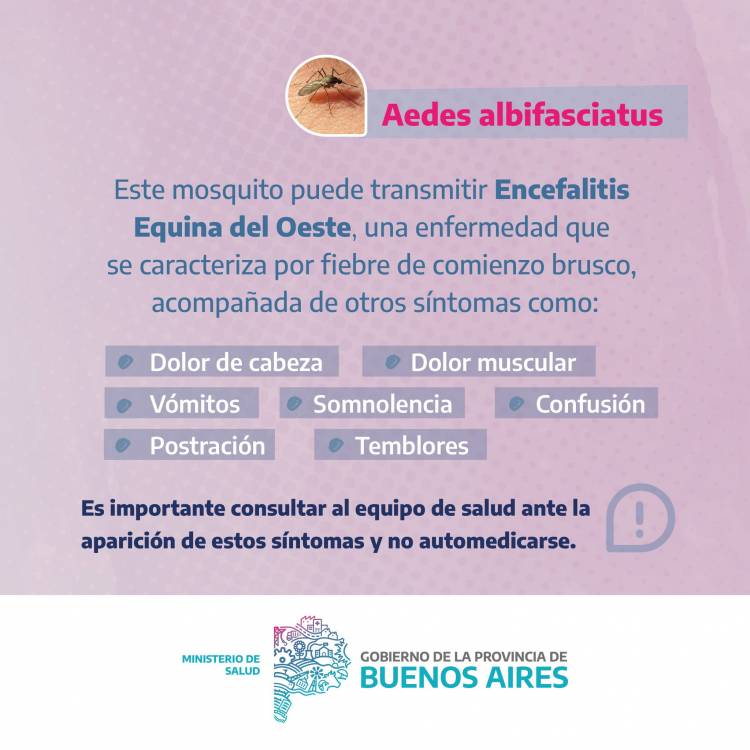 INFORMACION IMPORTANTE ante la circulacion de mosquitos