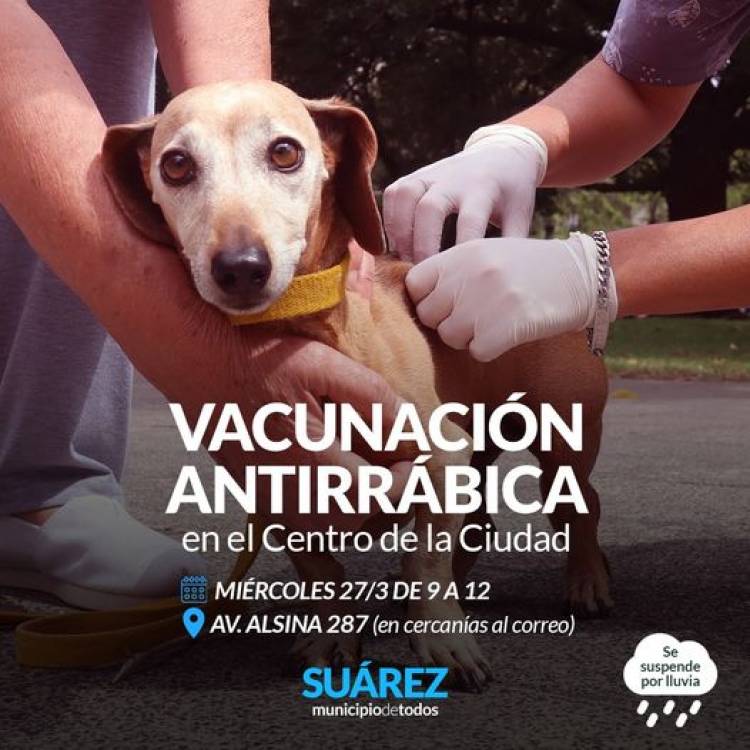 Campaña de vacunación antirrábica en el centro de la ciudad