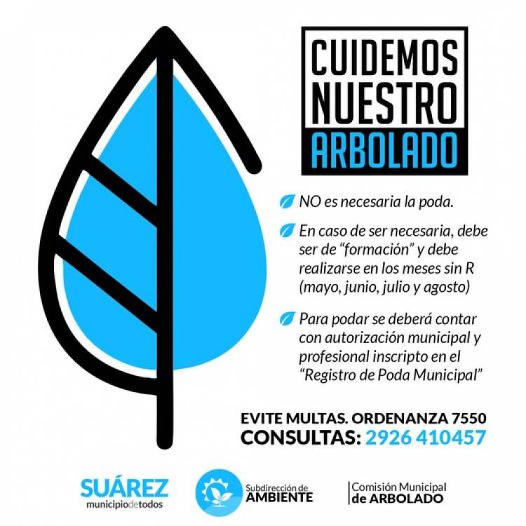 Ambiente y Comisión Municipal de Arbolado 