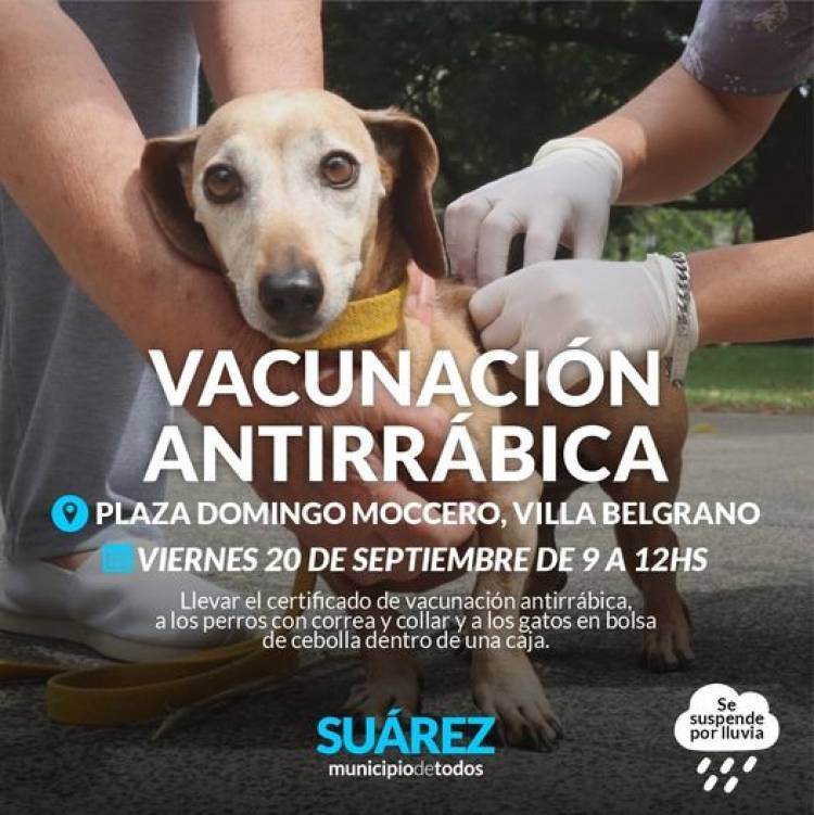 Campaña de vacunación antirrábica en Villa Belgrano